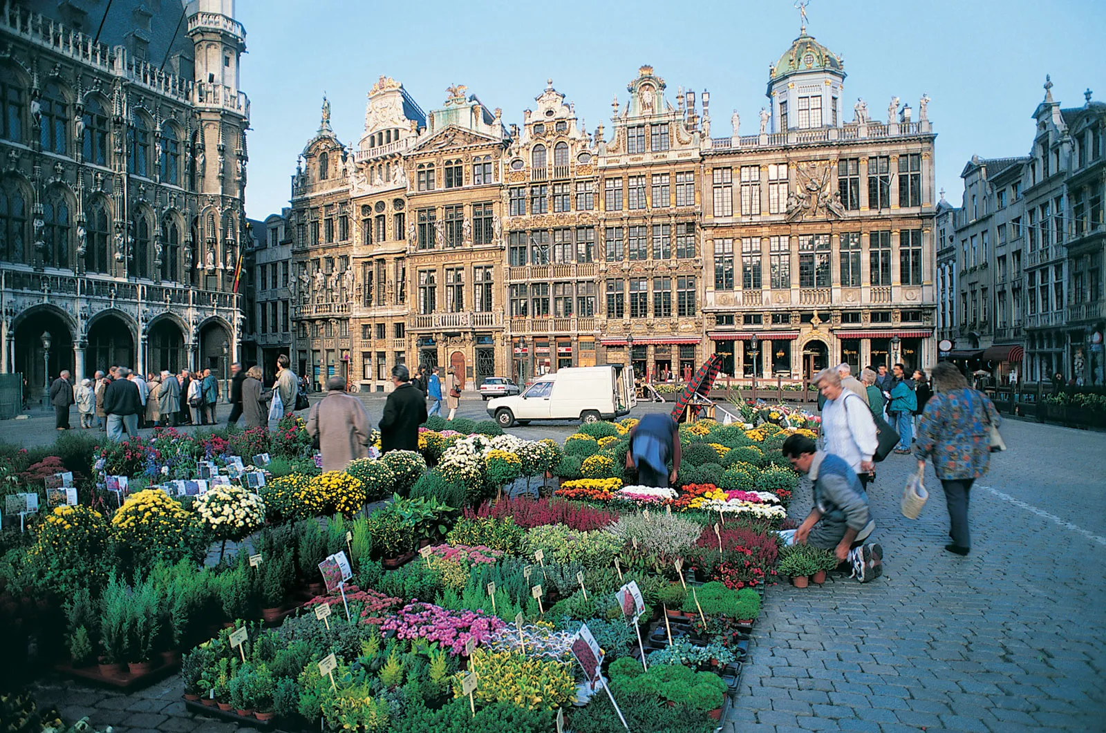 Benelux Small Ball 